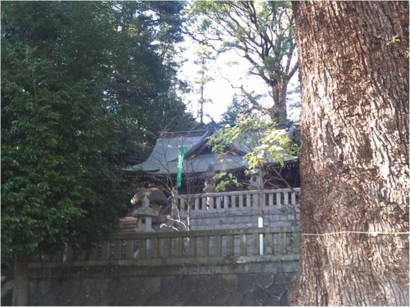 Hotel Yugawara Mizunokaori Extérieur photo
