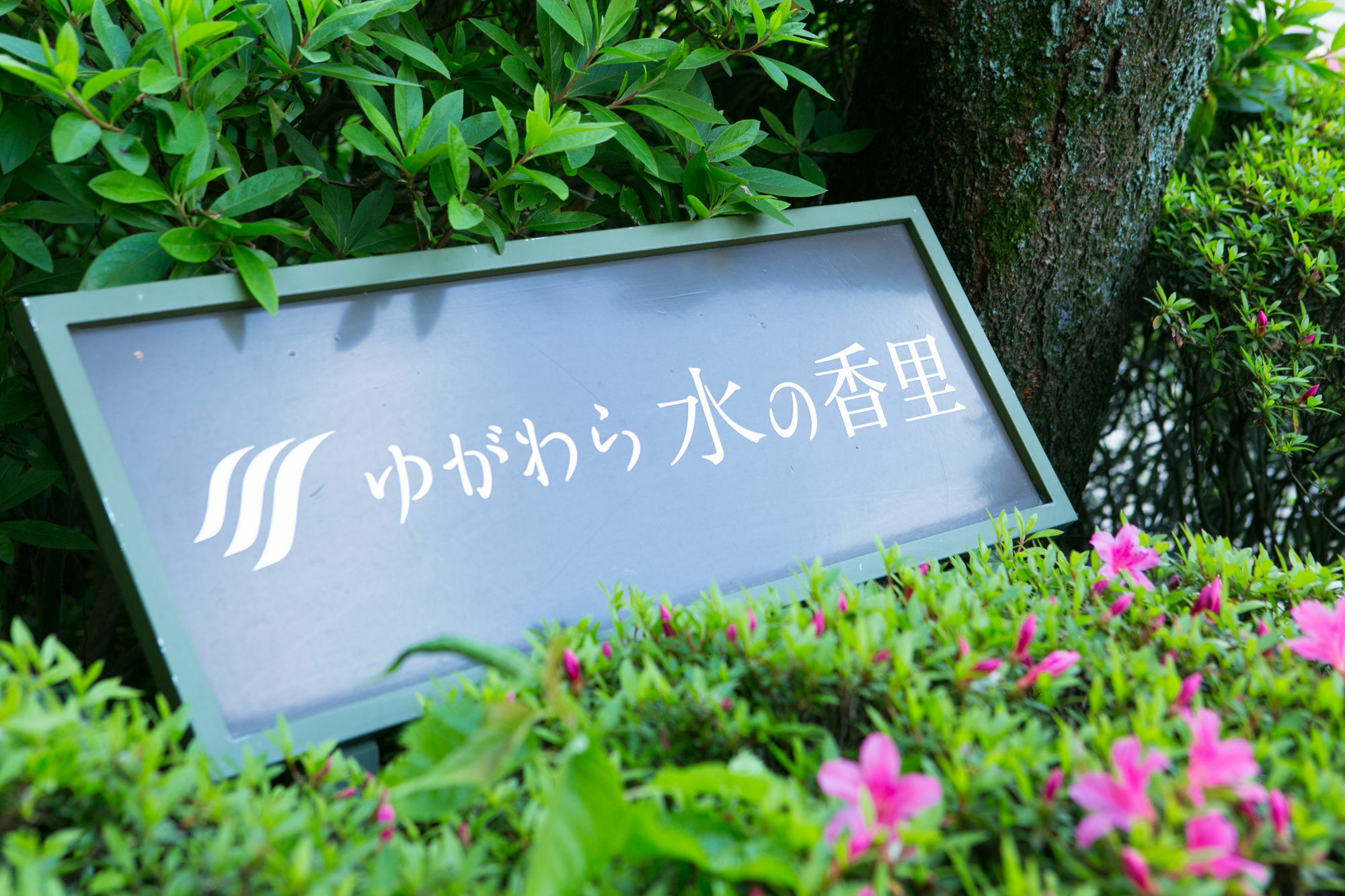 Hotel Yugawara Mizunokaori Extérieur photo