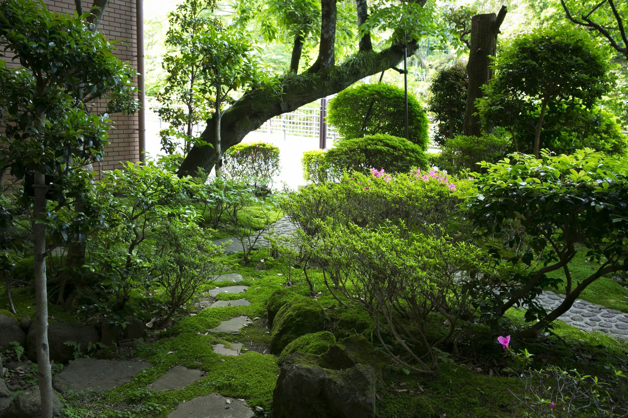 Hotel Yugawara Mizunokaori Extérieur photo